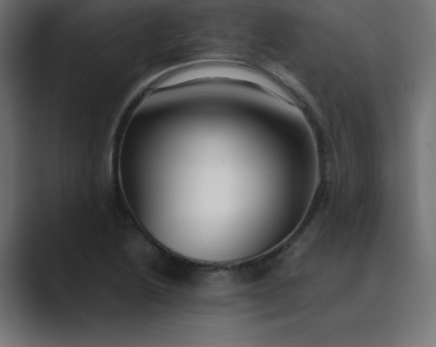 X0000089361222200706291035