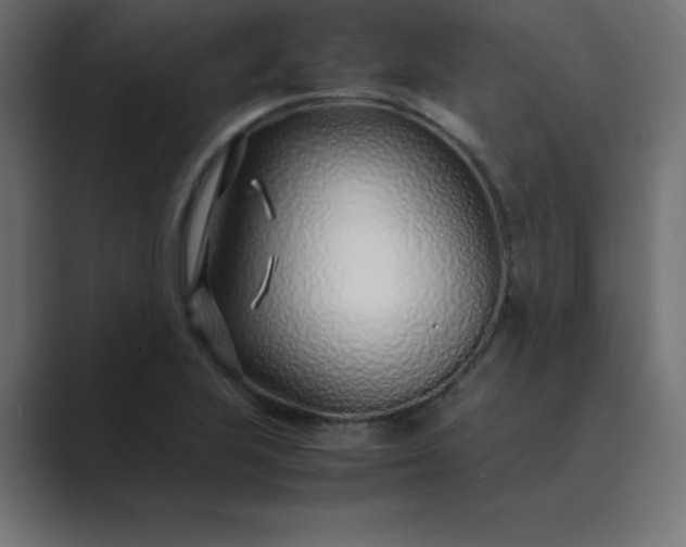 X0000089361223200706291035