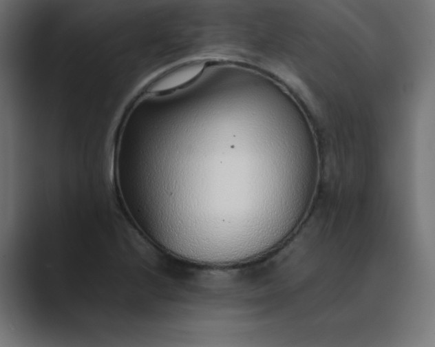 X0000089361224200706291035