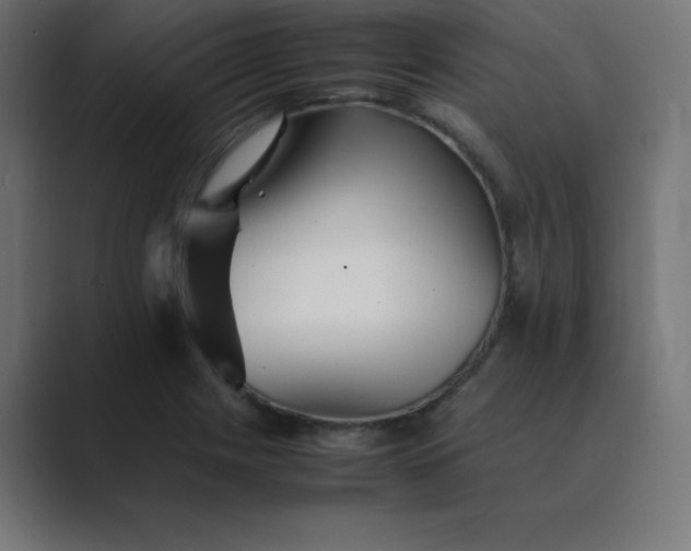 X0000089361225200706291035