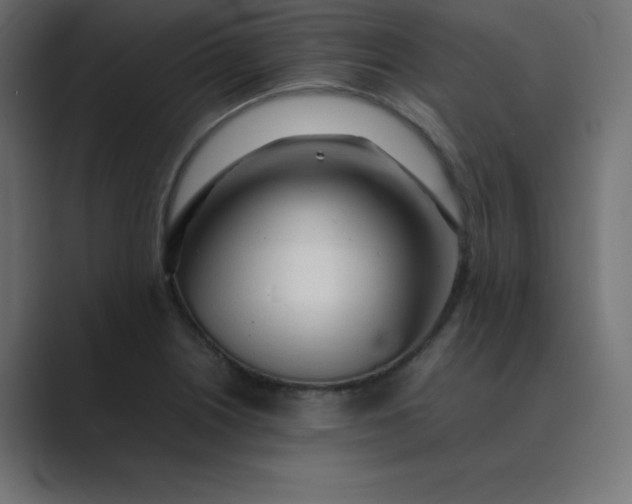 X0000089361226200706291035