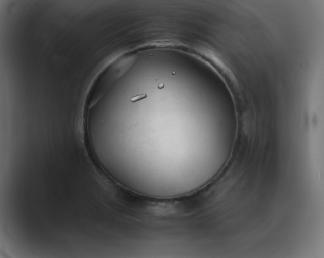 X0000089361229200706291035