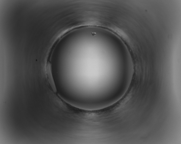 X0000089361230200706291035