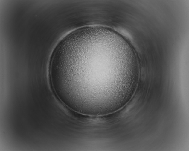 X0000089361231200706291035