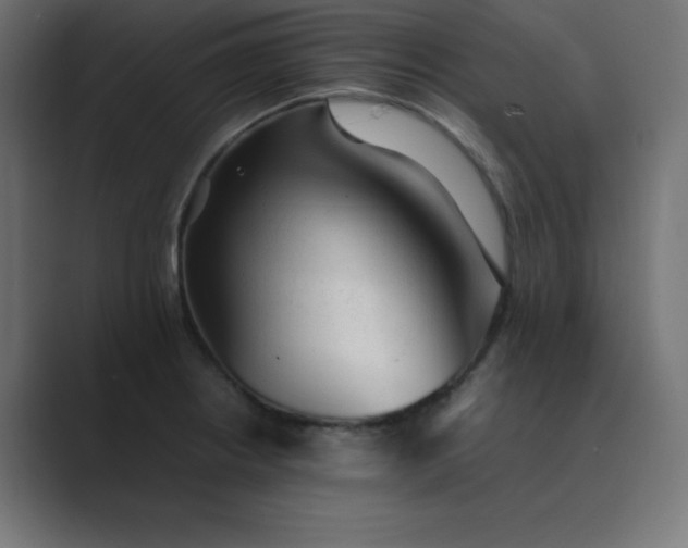 X0000089361234200706291035