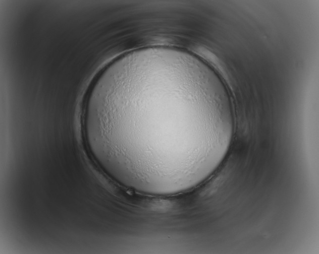 X0000089361235200706291035