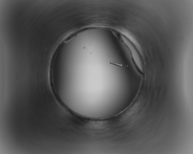 X0000089361237200706291035