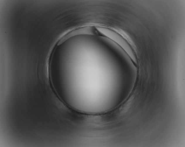 X0000089361238200706291035