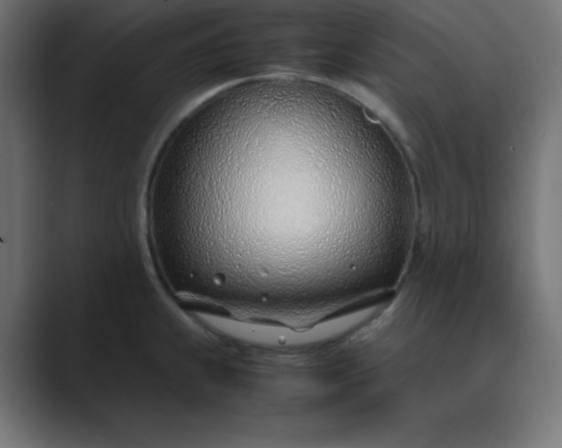 X0000089361239200706291035