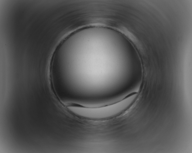 X0000089361240200706291035