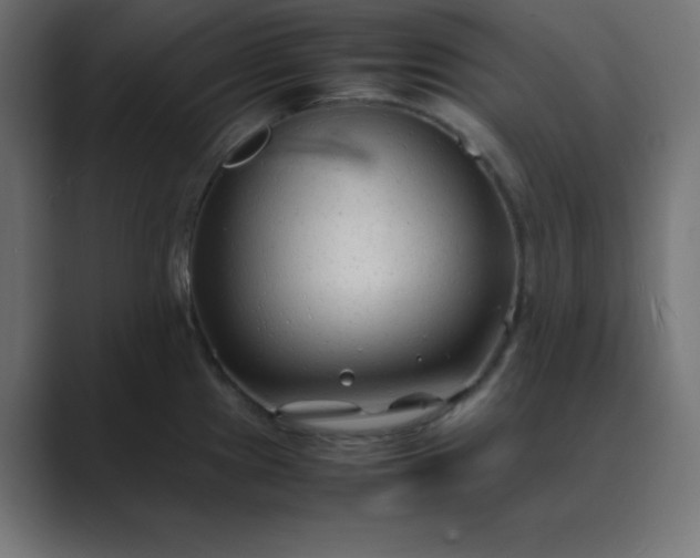 X0000089361241200706291035