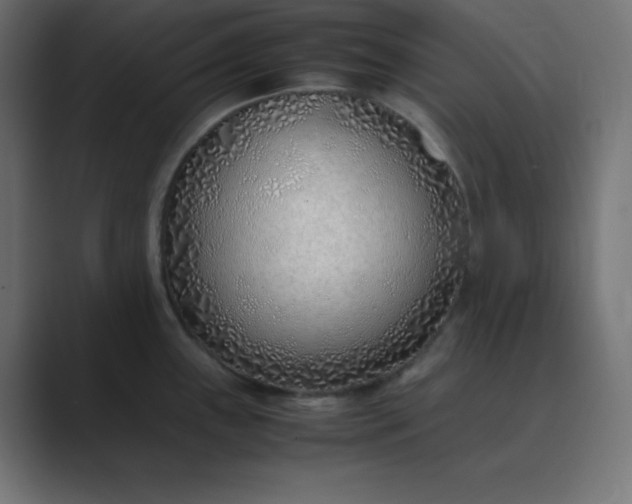 X0000089361243200706291035