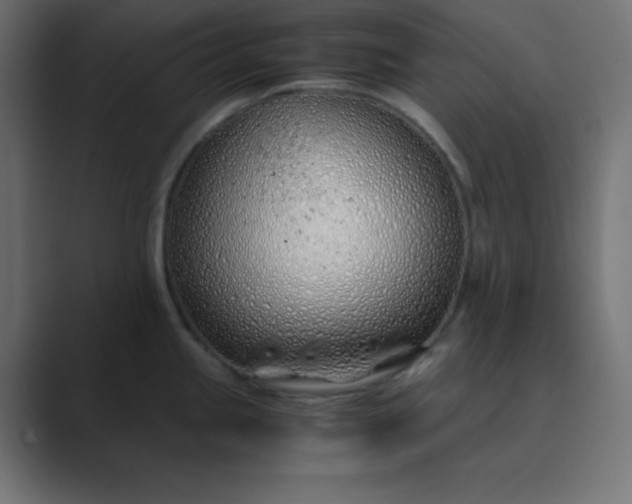 X0000089361245200706291035