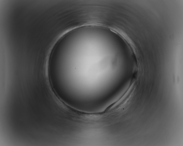 X0000089361246200706291035