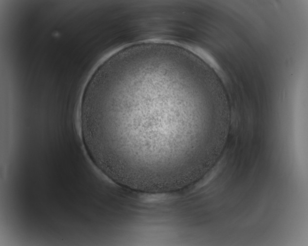 X0000089361247200706291035