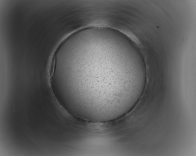 X0000089361248200706291035