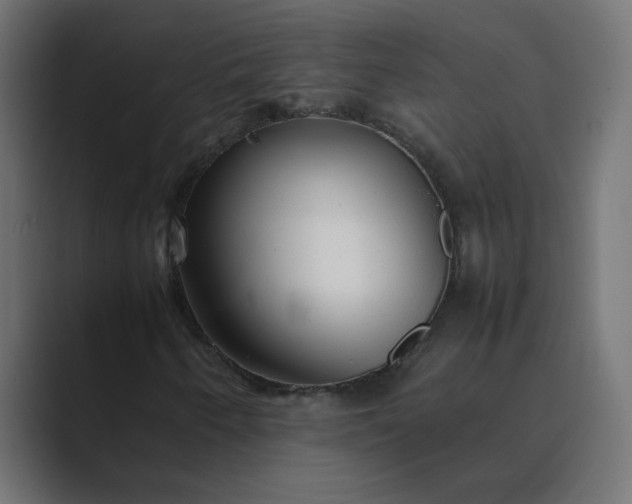 X0000089361250200706291034