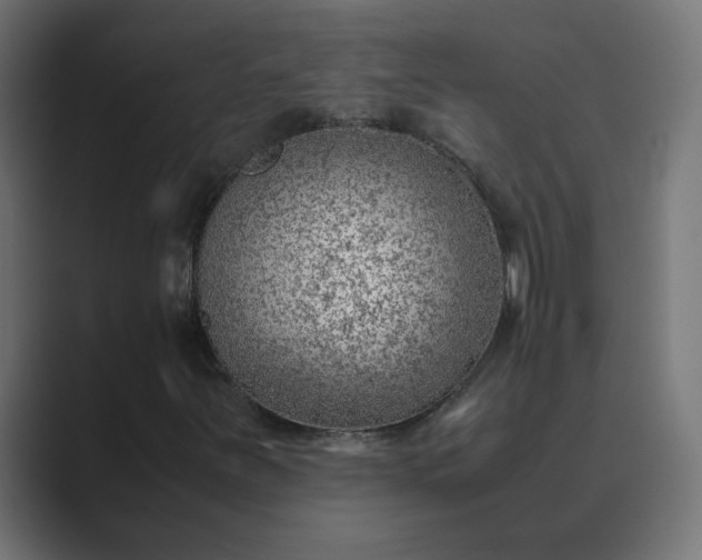 X0000089361251200706291034