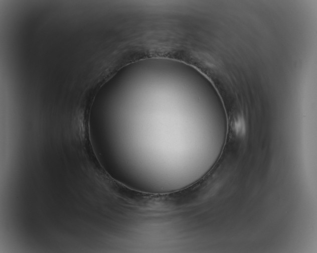 X0000089361252200706291034