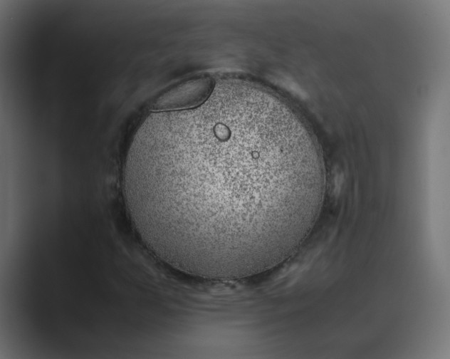 X0000089361255200706291034