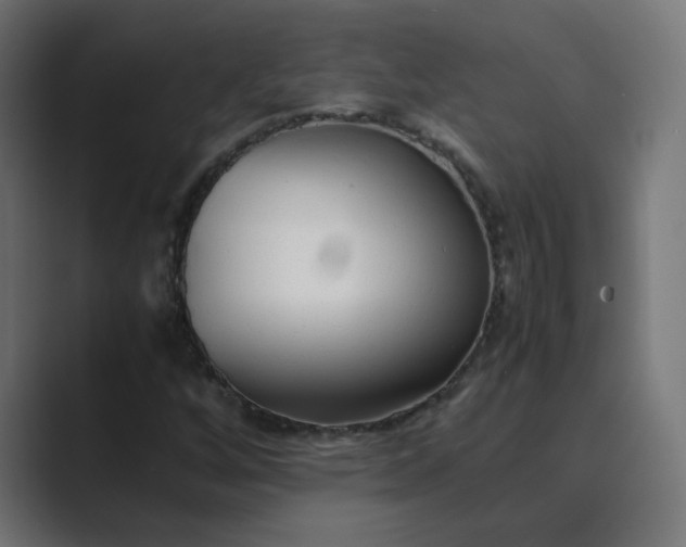 X0000089361256200706291034