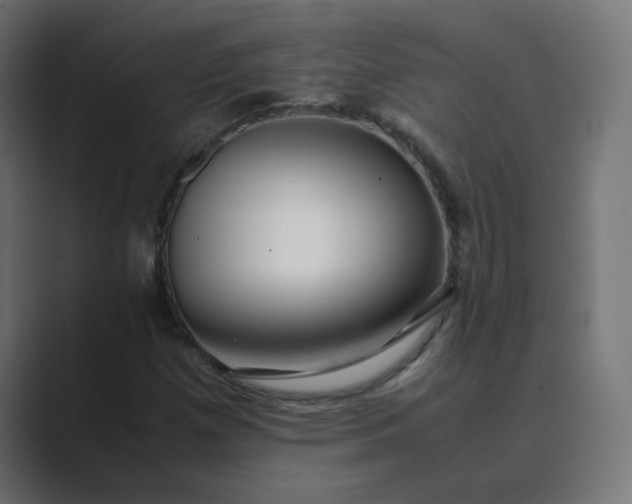 X0000089361257200706291034