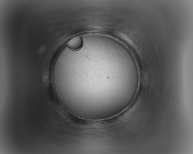 X0000089361259200706291034