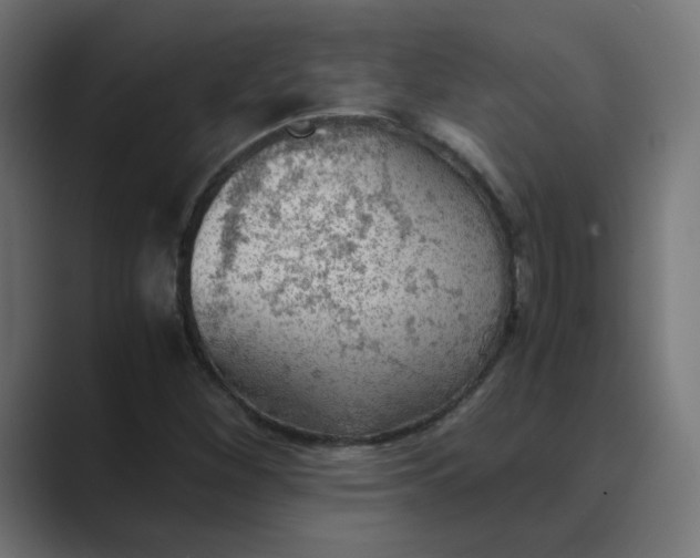 X0000089361260200706291034