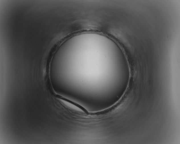 X0000089361261200706291034