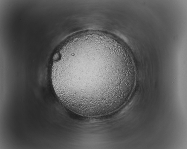 X0000089361263200706291034