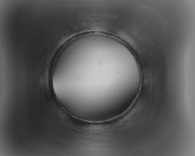 X0000089361264200706291034