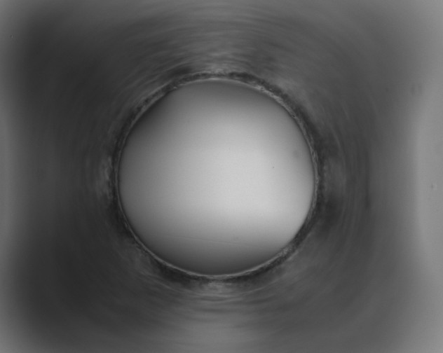 X0000089361265200706291034