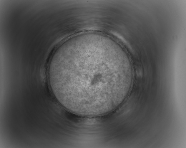 X0000089361266200706291034