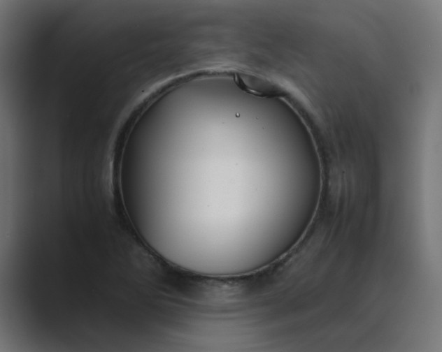 X0000089361270200706291034