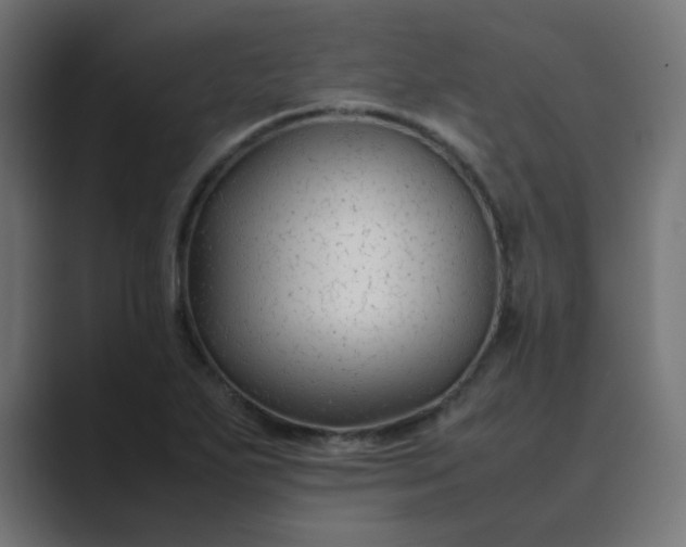 X0000089361271200706291034