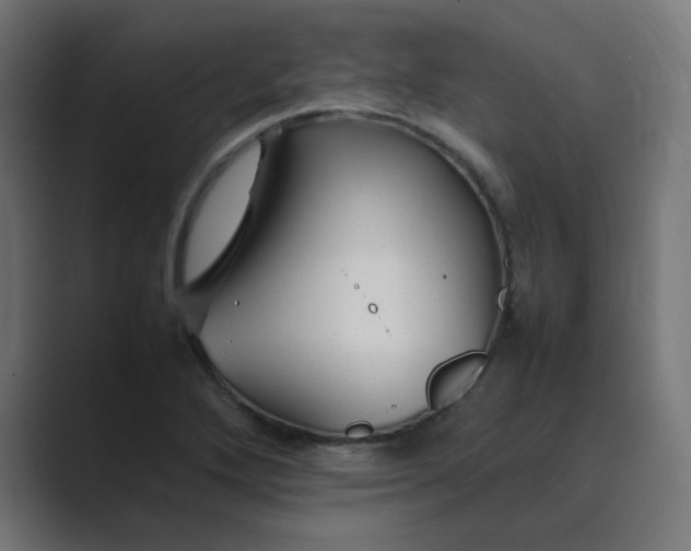 X0000089361272200706291034