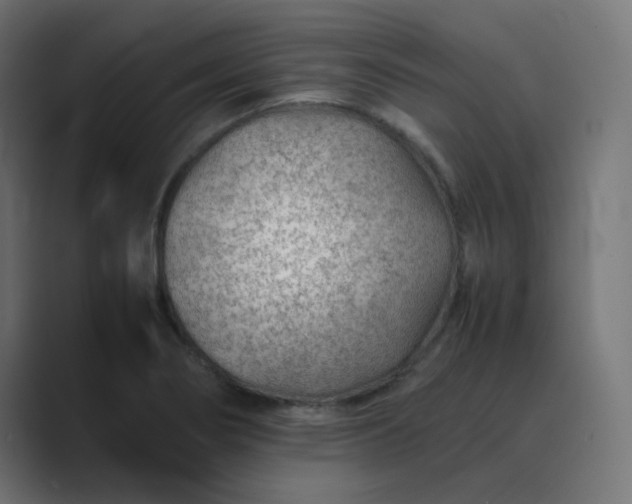 X0000089361274200706291034