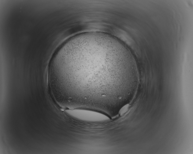 X0000089361275200706291034