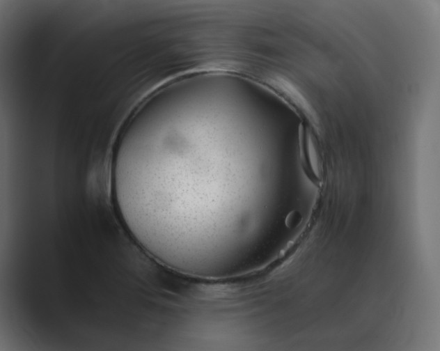 X0000089361276200706291034