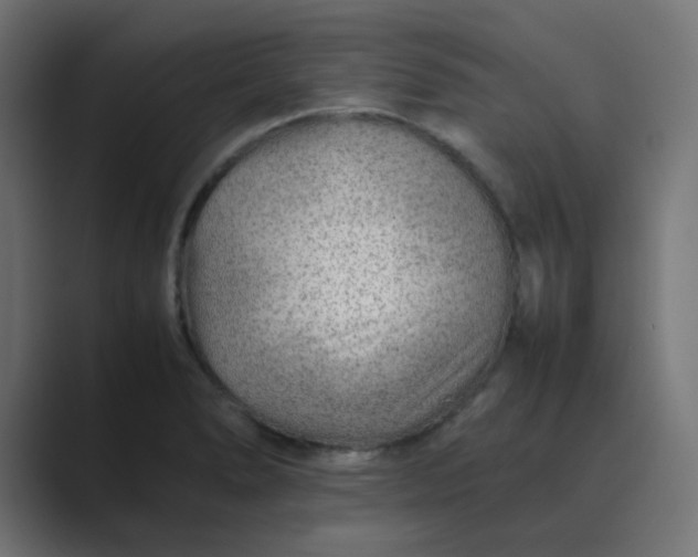 X0000089361278200706291034