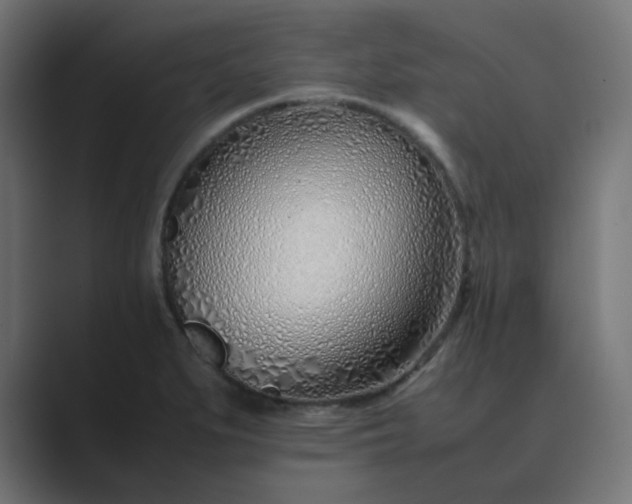 X0000089361279200706291034