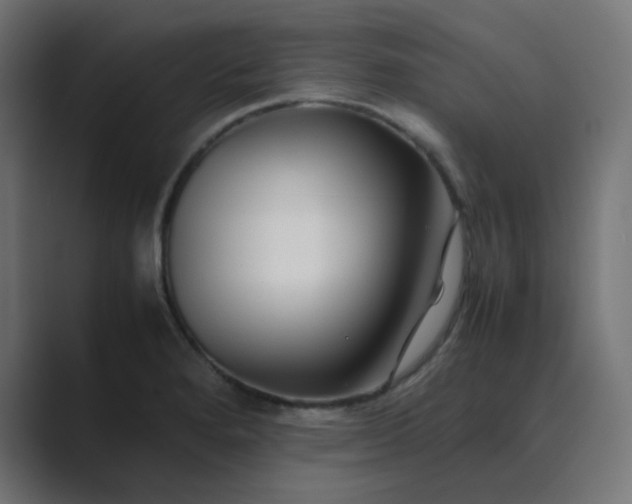 X0000089361280200706291034