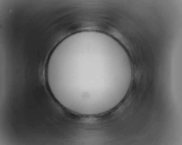 X0000089361282200706291034