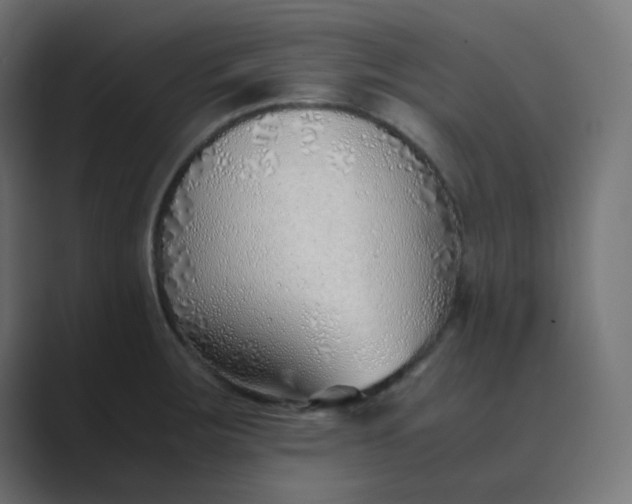 X0000089361283200706291034