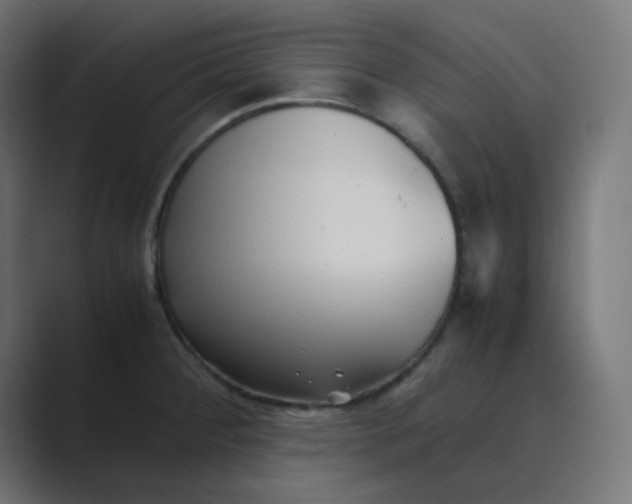 X0000089361284200706291034