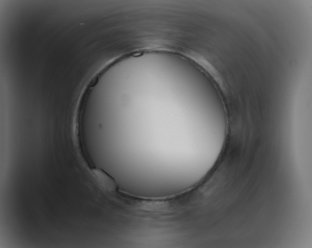 X0000089361285200706291034