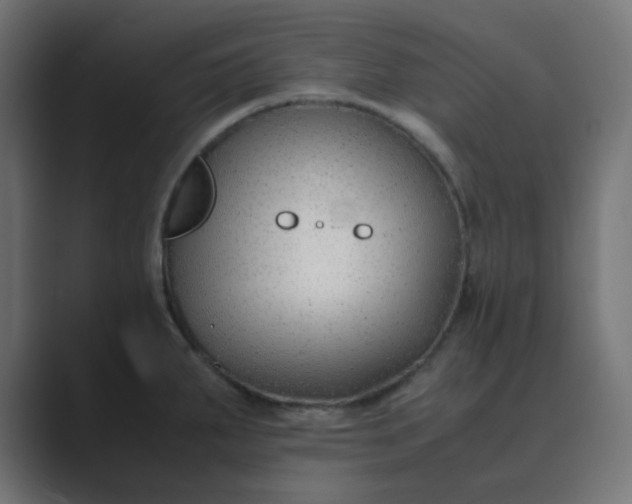 X0000089361287200706291034