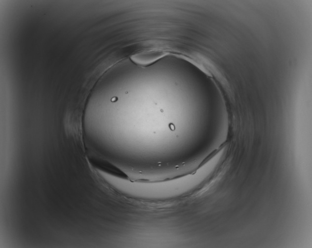 X0000089361289200706291034