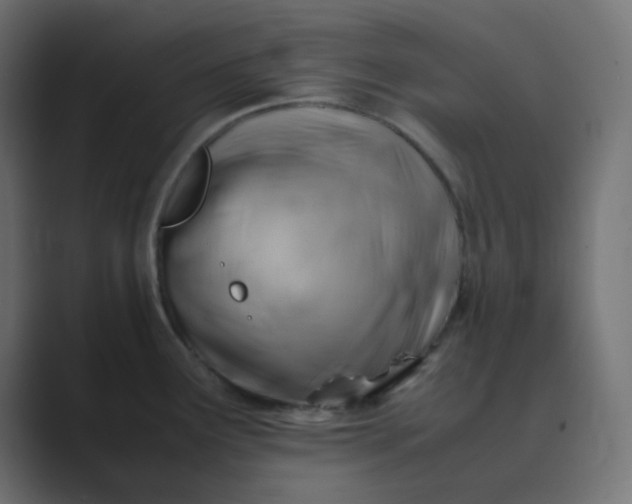 X0000089361291200706291034