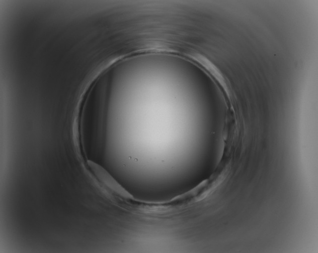 X0000089361293200706291034